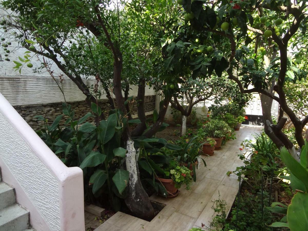 Вилла Cozy Citrus Garden House By The Seaside. Chones Экстерьер фото